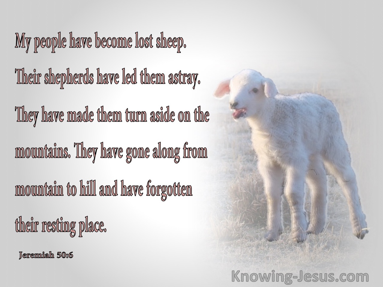 Jeremiah 50:6 My People Have Become Lost Sheep (gray)